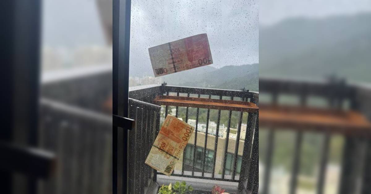 超強颱風樺加沙狂襲｜窗外驚現「千元金牛」貼玻璃？網民熱議：錢真係大風颳嚟！