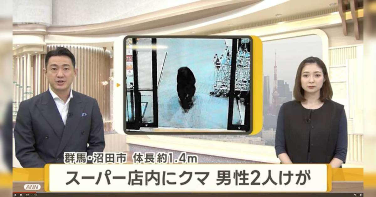 日本旅遊警報｜野熊闖超市猛撲顧客浴血！專家揭恐怖真相：冬天更危險？