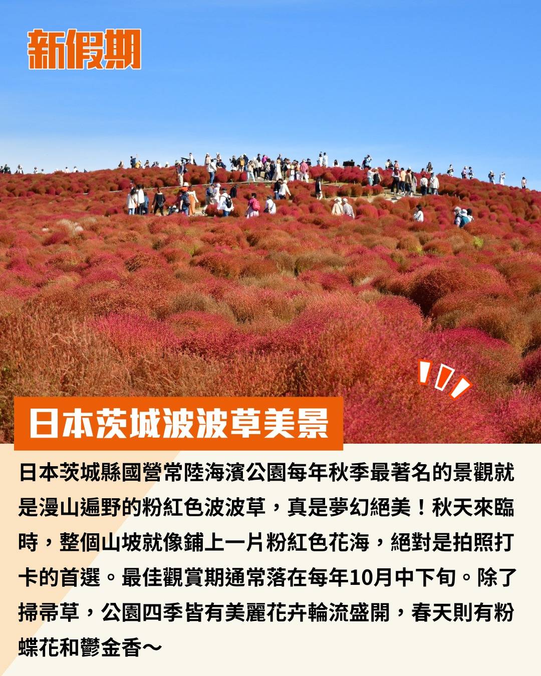 日本 (圖片來源:官方圖片、IBARAKI GUIDE)