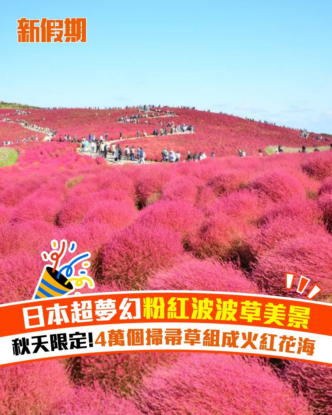 日本 (圖片來源:官方圖片、IBARAKI GUIDE)