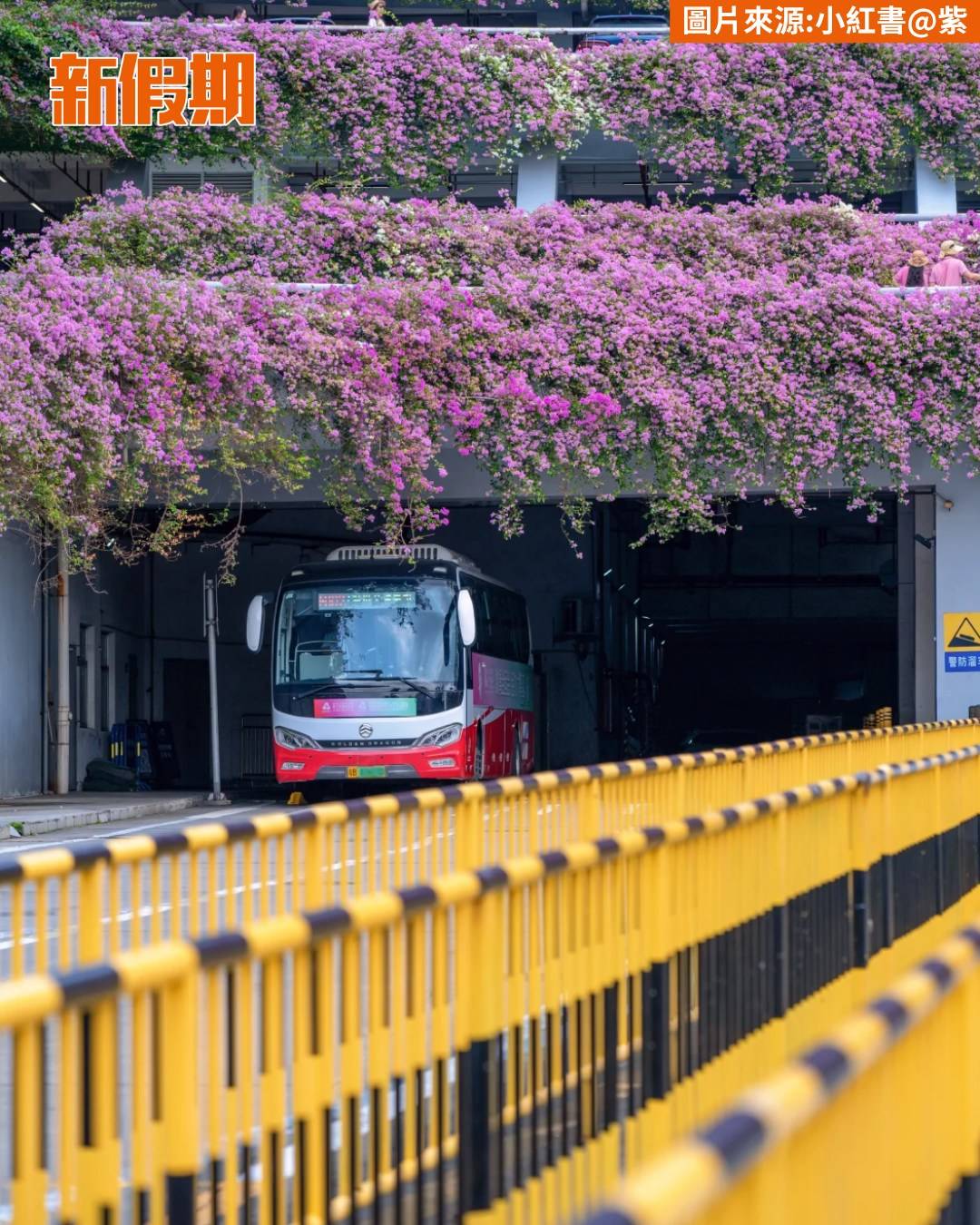 深圳 (圖片來源:官方圖片)