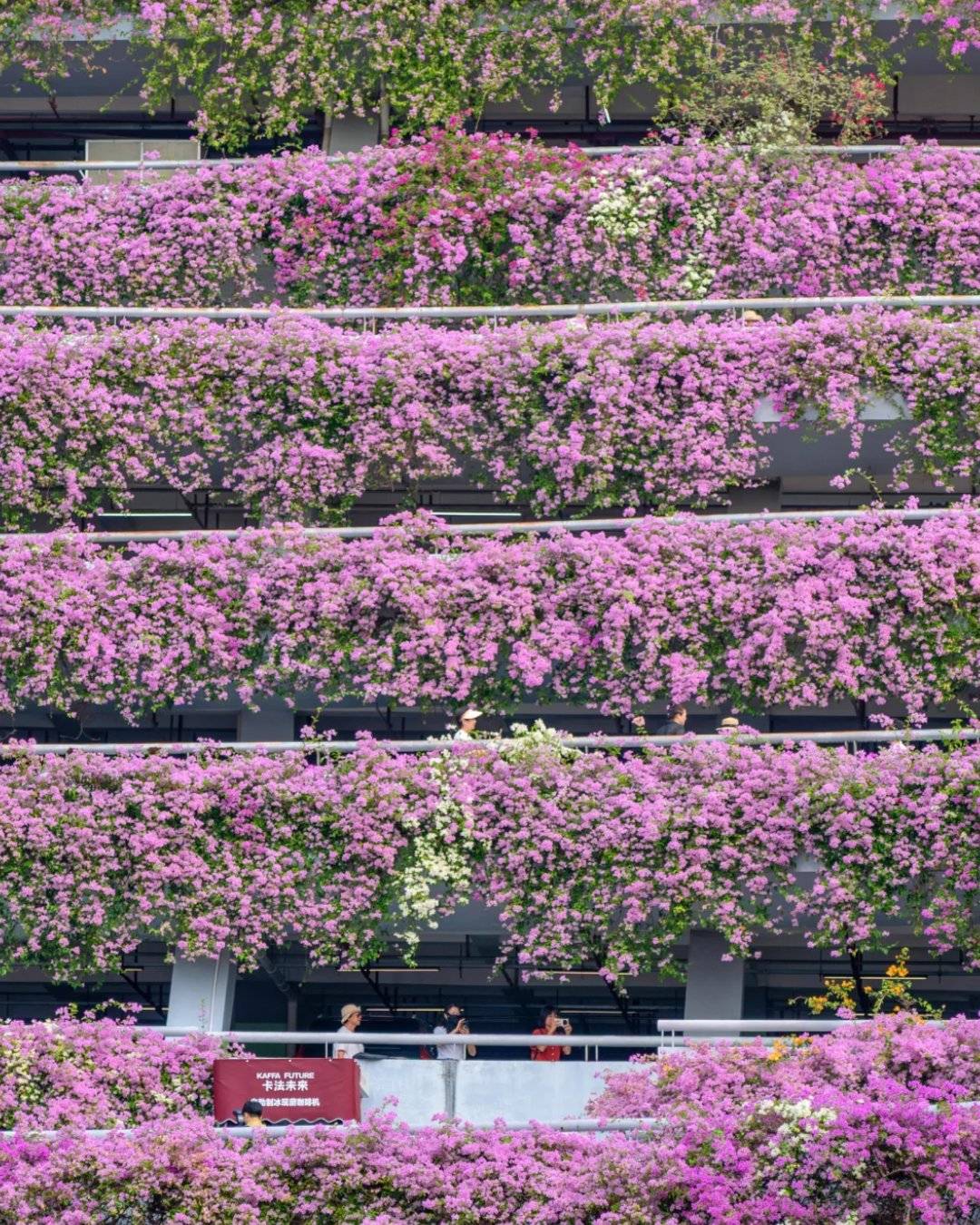 深圳 (圖片來源:官方圖片)