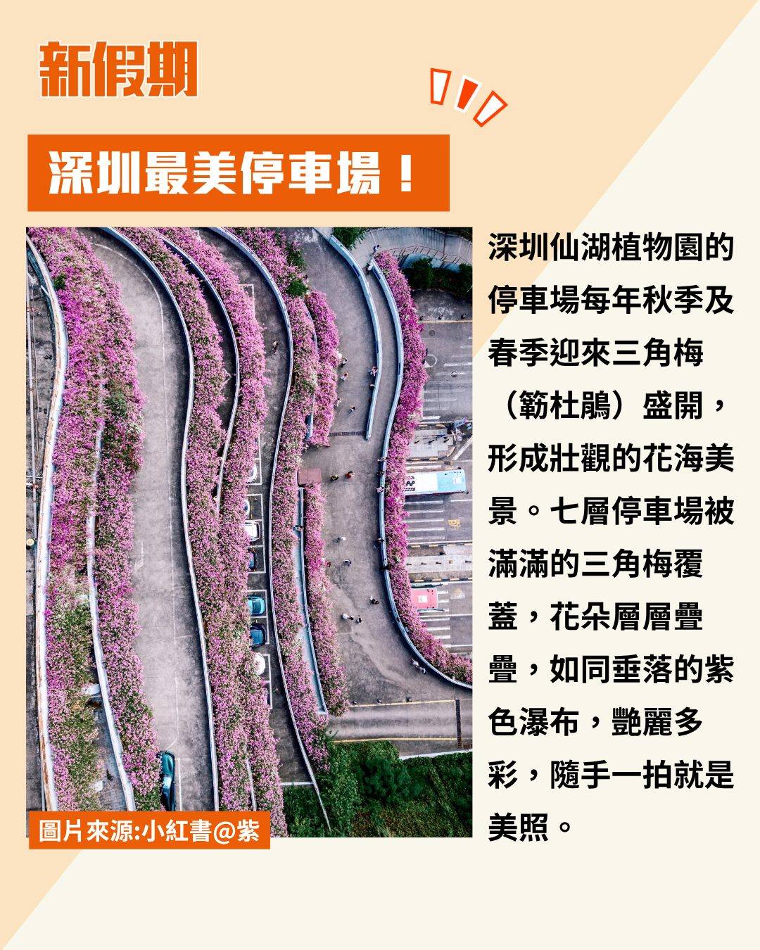 深圳 (圖片來源:官方圖片)