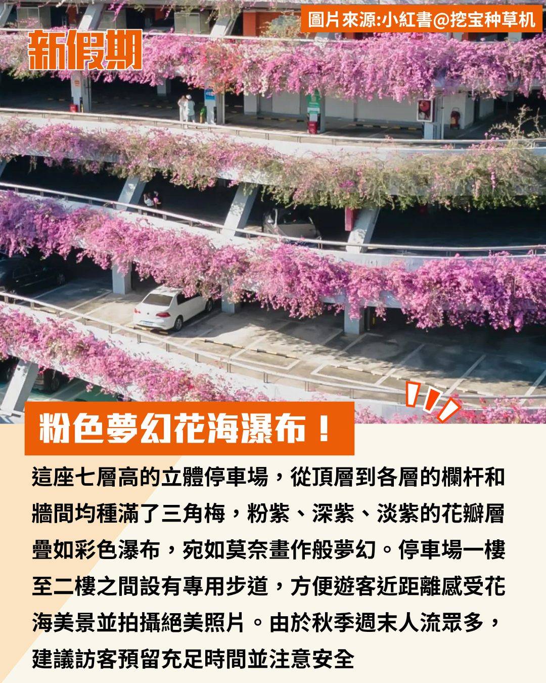 深圳 (圖片來源:官方圖片)