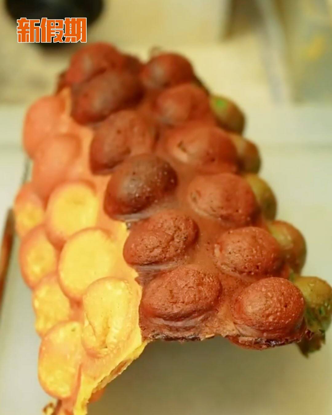 甘比 (圖片來源:小紅書@甘比Kimbee)