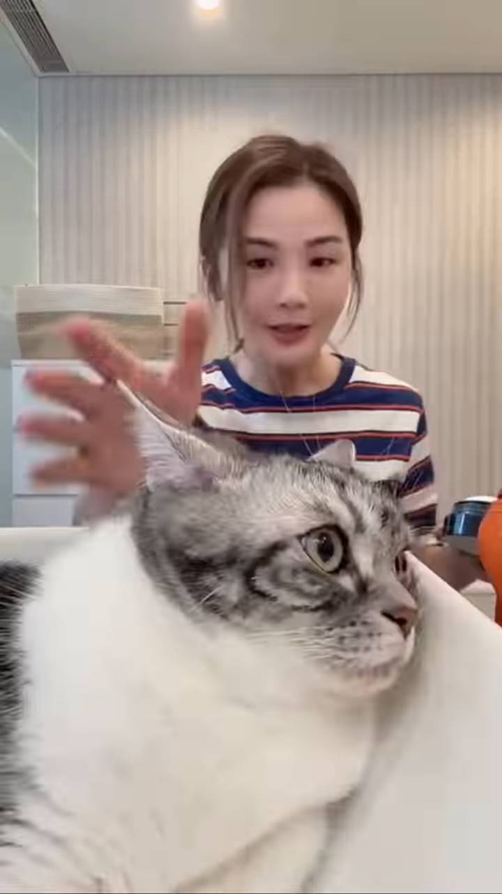 蔡卓妍 阿sa (圖片來源:ig@choisaaaa)