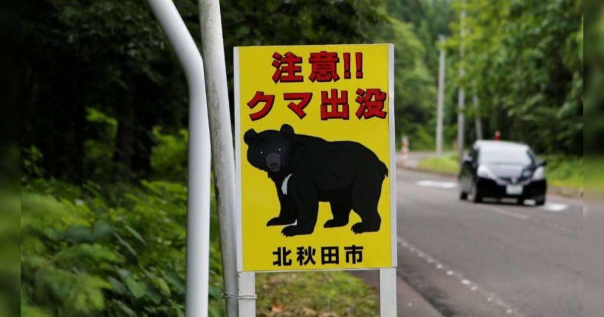 京都嵐山亦驚現野熊｜兩日5宗目擊報告 日本10月64人遭襲10死