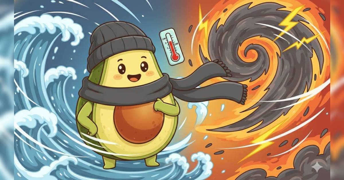 颱風風神突襲｜高地恐現8級烈風！強烈季候風夾擊：氣溫一夜急降9度？