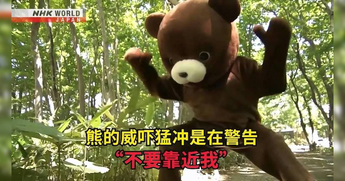 NHK野熊自保教學片爆紅｜網民錯重點狂讚太可愛：想合照