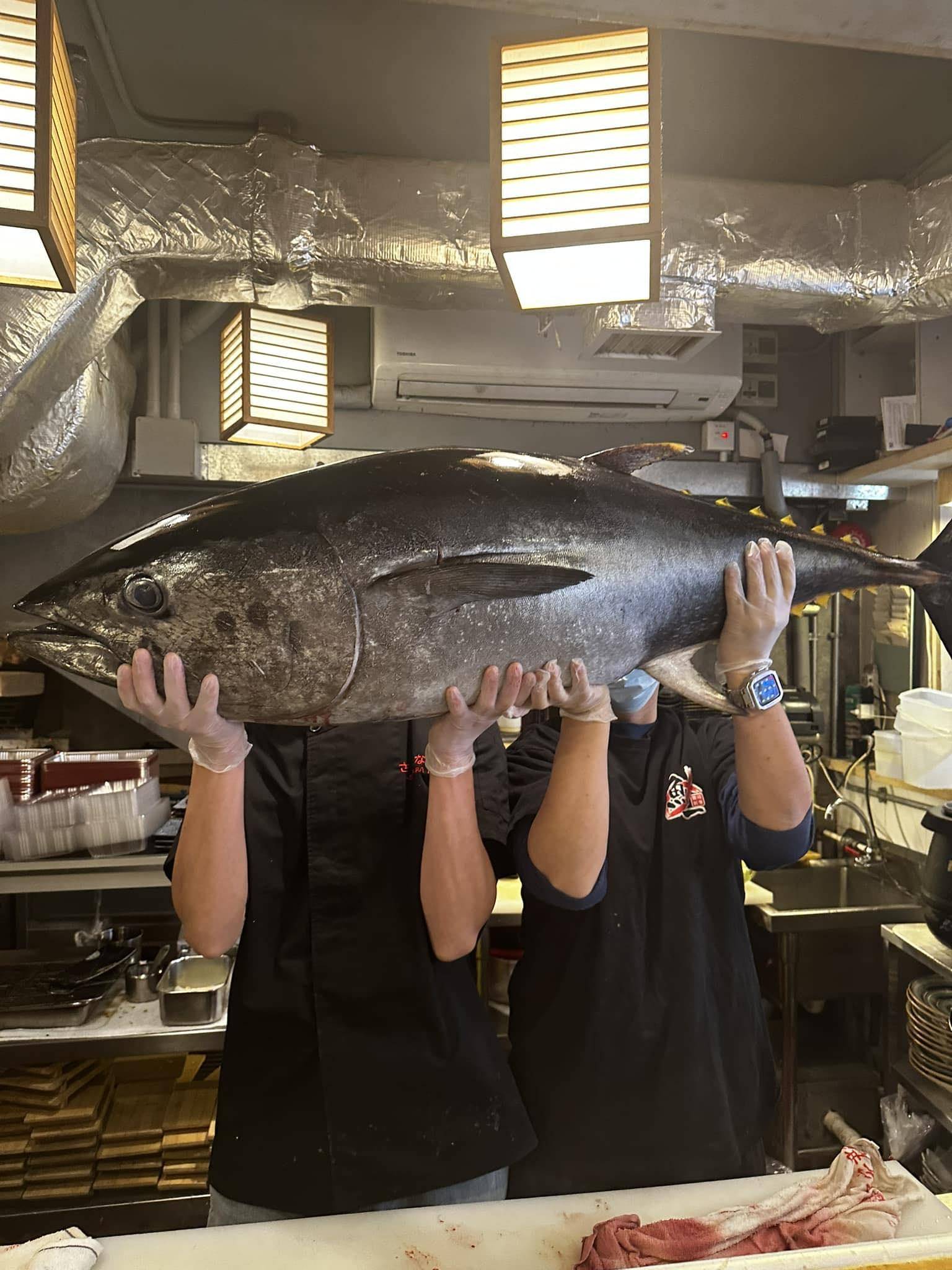 推介|. 魚一壽司 (教育路)