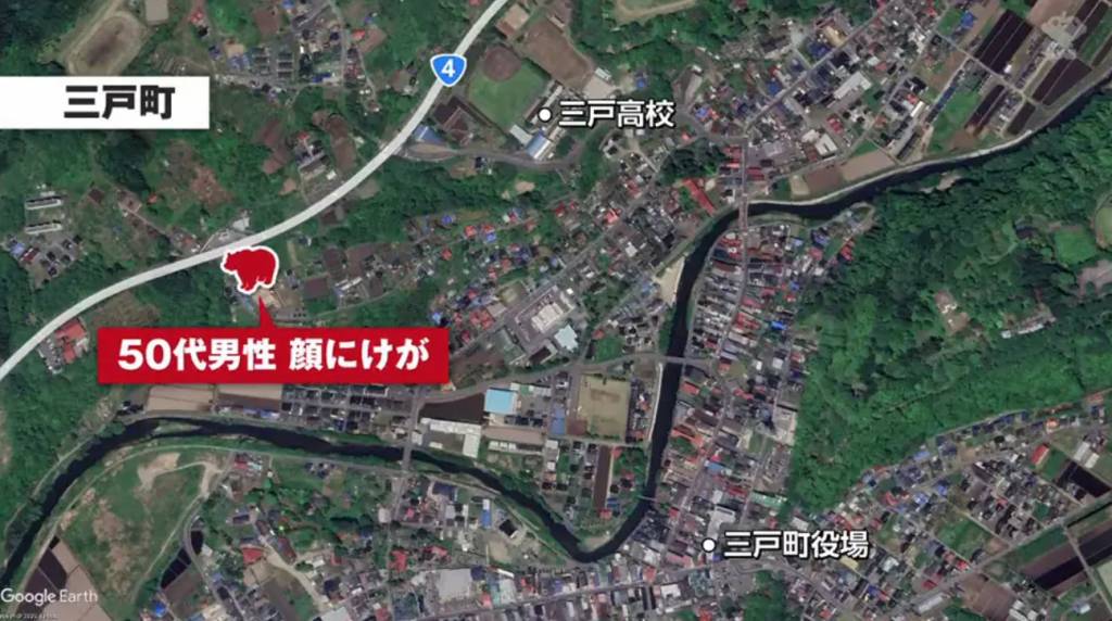 即時熱話熊出沒注意 日本奇聞 (圖片來源:NHK WORLD-JAPAN)