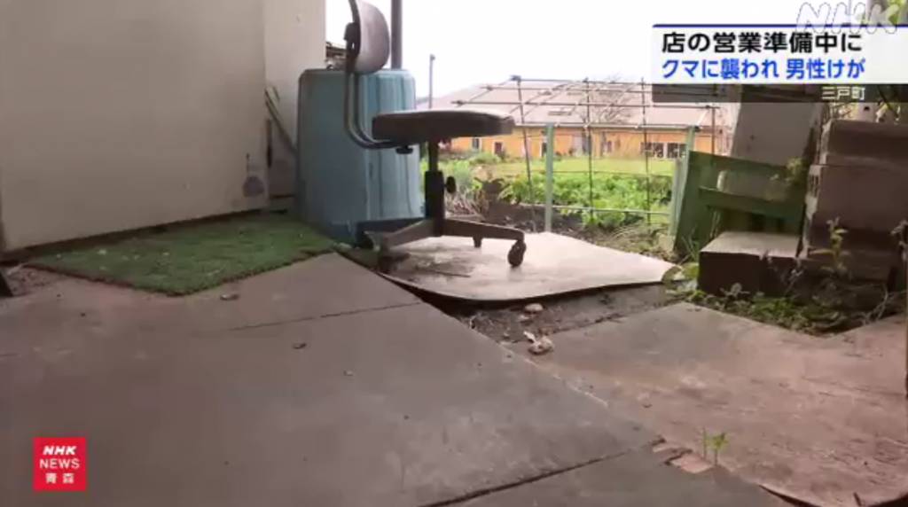 即時熱話熊出沒注意 日本奇聞 (圖片來源:NHK WORLD-JAPAN)