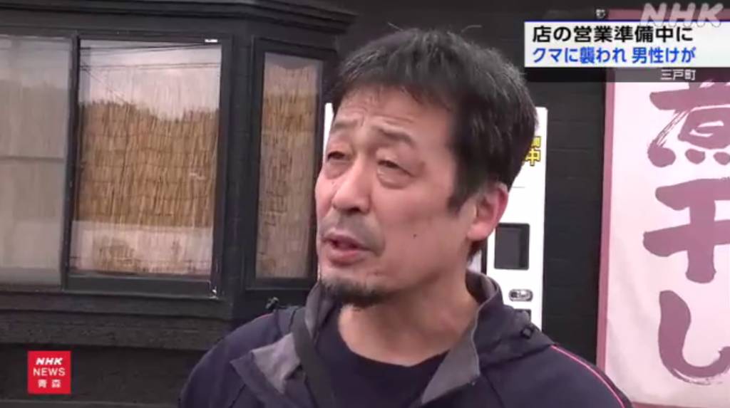 即時熱話熊出沒注意 日本奇聞 (圖片來源:NHK WORLD-JAPAN)