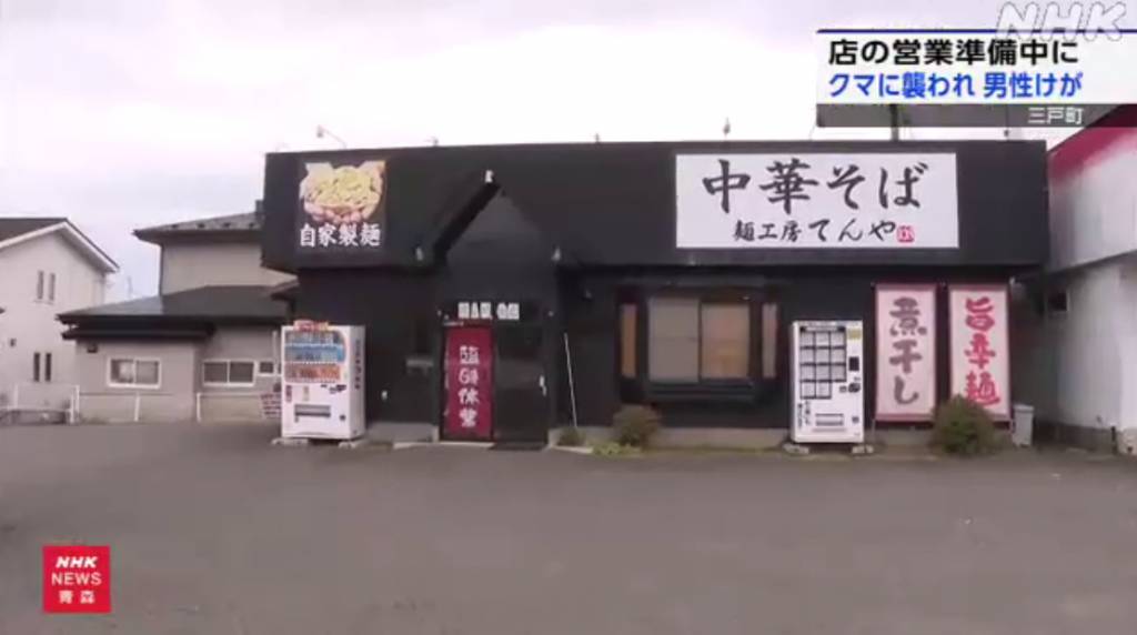 即時熱話熊出沒注意 日本奇聞 (圖片來源:NHK WORLD-JAPAN)