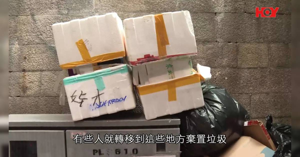 全港500天眼捉垃圾蟲｜政策奏效卻爆「轉移災難」？區議員揭驚人後巷真相！