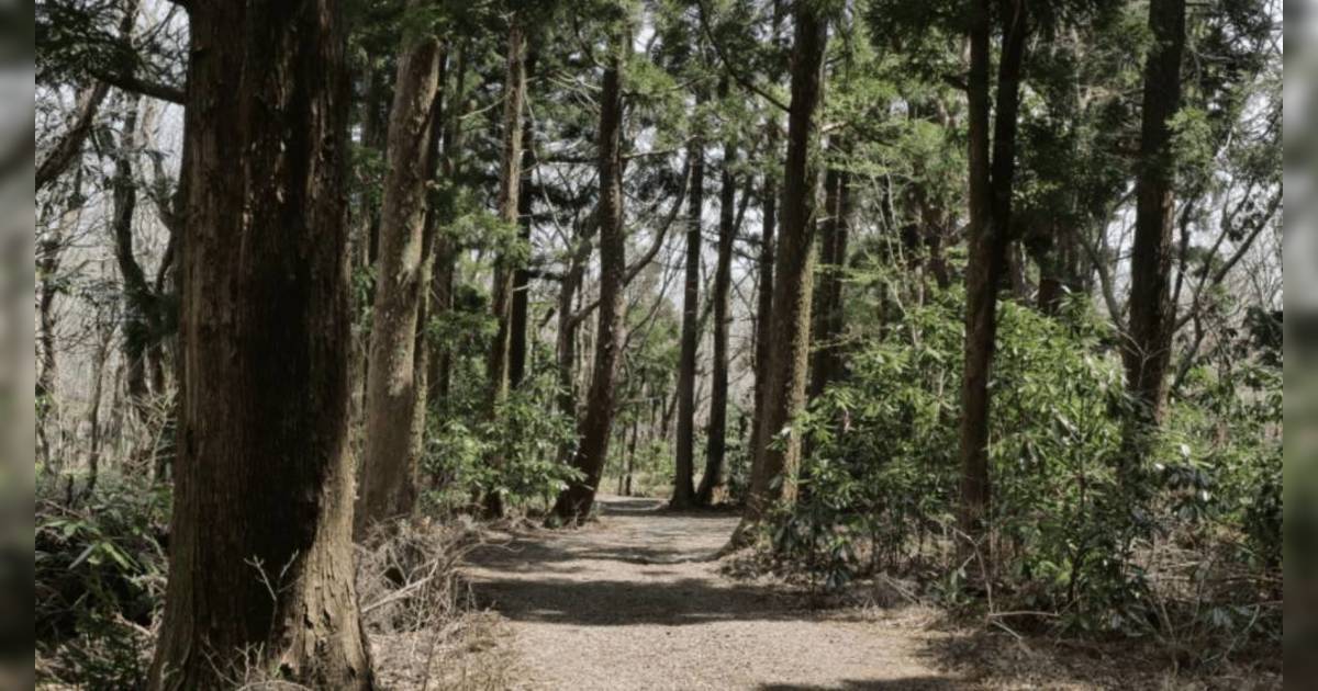 韓國旅遊｜疑內地客攜幼童隨地便溺 韓網民崩潰求嚴懲！