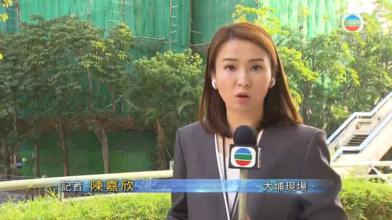 陳嘉欣 宏福苑火災 陳嘉欣罕有出直播現場(圖片來源:TVB)