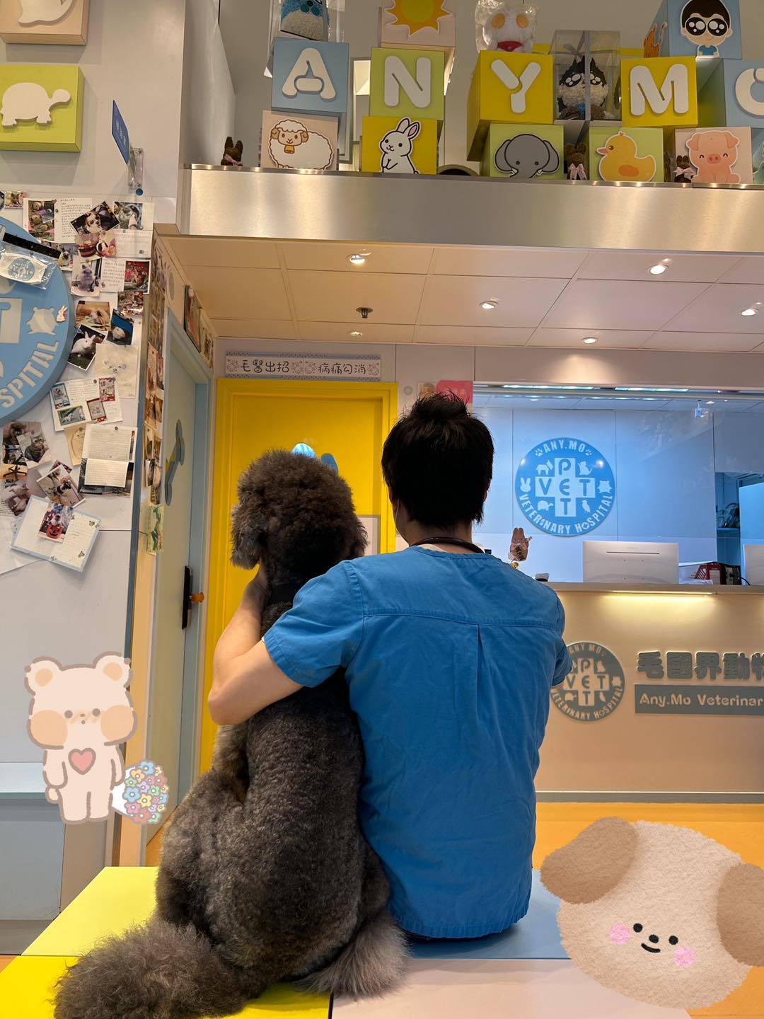 馬啟豪 獸醫 馬醫生在深水埗毛國界動物醫院工作照(圖片來源:FB@Any.Mo Veterinary Hospital 毛國界動物醫院)