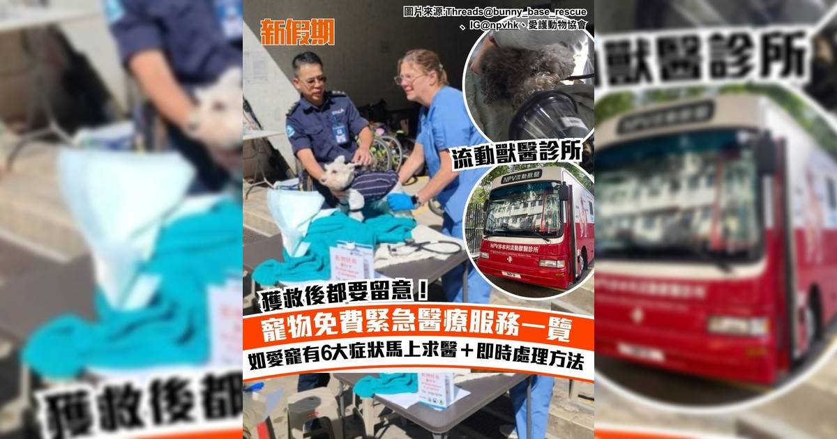 寵物免費緊急醫療服務一覽 如愛寵有6大症狀馬上求醫＋即時處理方法