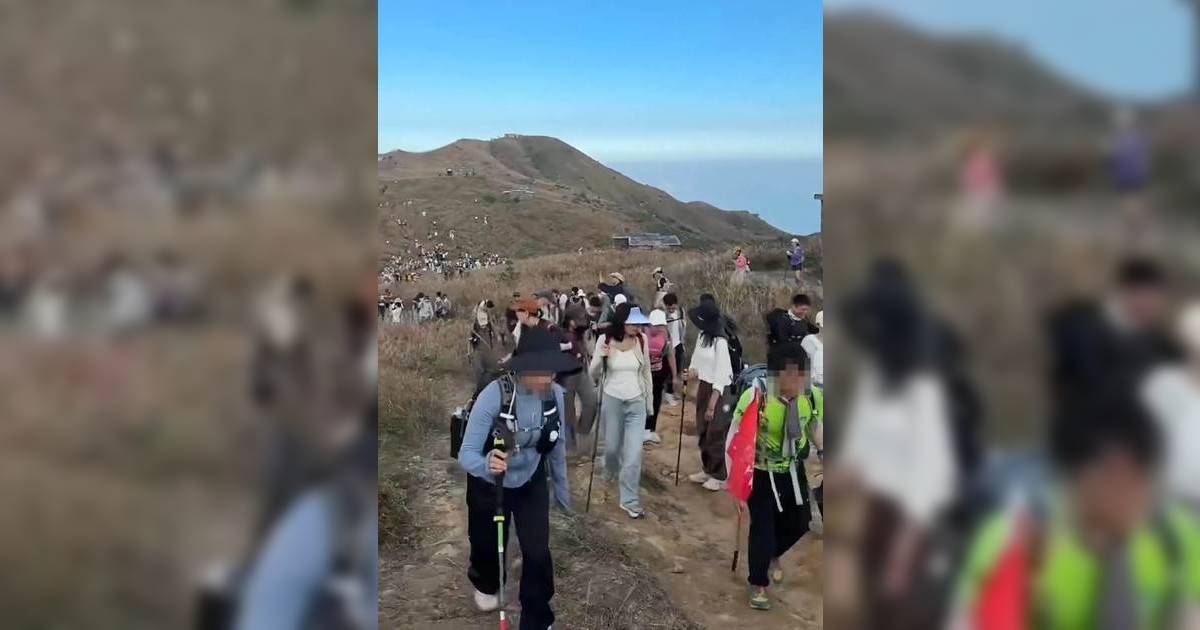 大嶼山芒草季｜大量內地客湧港打卡 登山客：以為走難