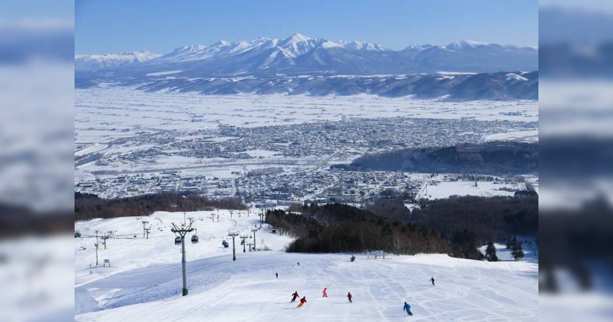 旅客北海道滑雪驚見巨型熊掌印！秒被嚇窒問遇熊點算好？