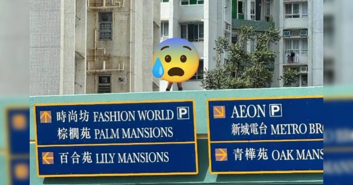 黃埔黑絲女危企天橋頂打卡｜網民轟罔顧安全：隨時變打齋！