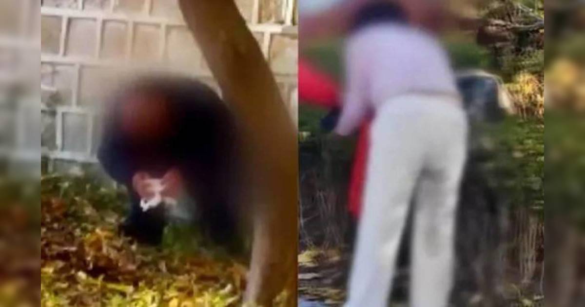 男女遊客景福宮古蹟石牆下大便｜震驚韓網民憤怒求嚴懲！