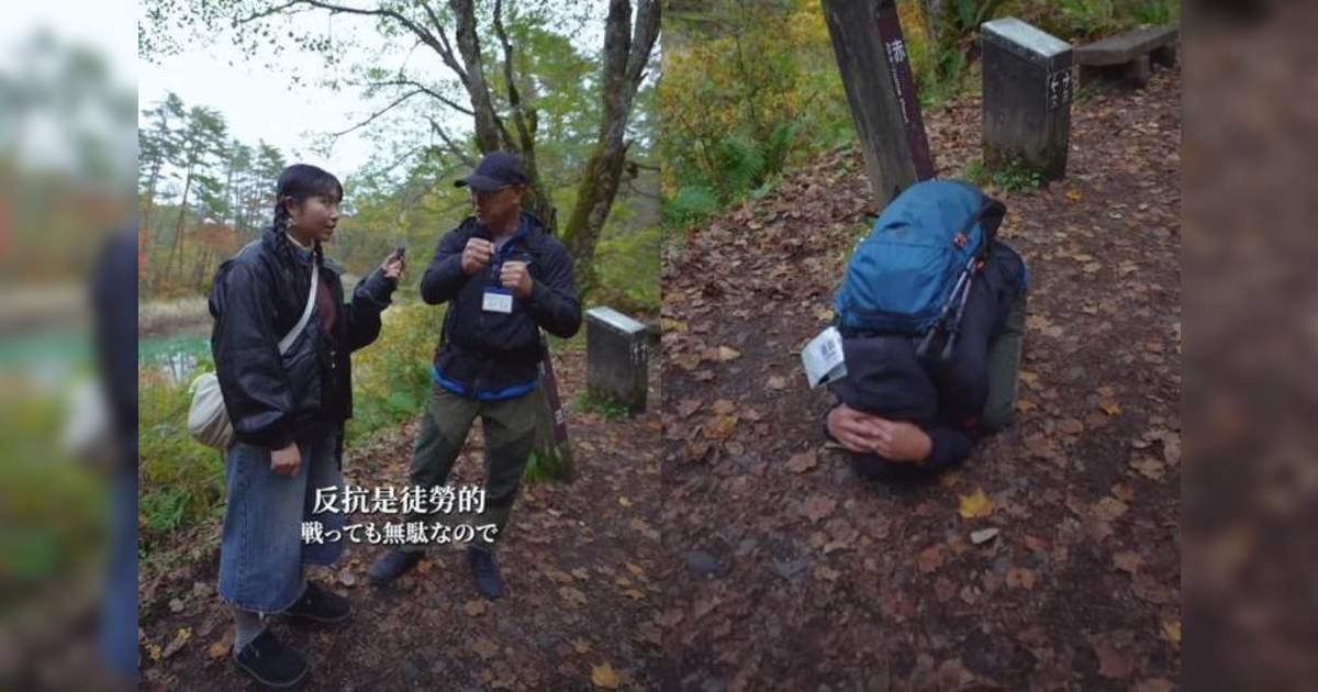 日本遇熊怎麼辦？專家教3招自保法｜網民紛紛出謀獻策