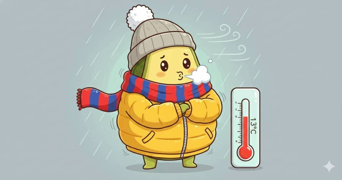 香港人注意！天文台預告氣溫斷崖式下跌｜下周三最低13度 網民崩潰：又要著羽絨！