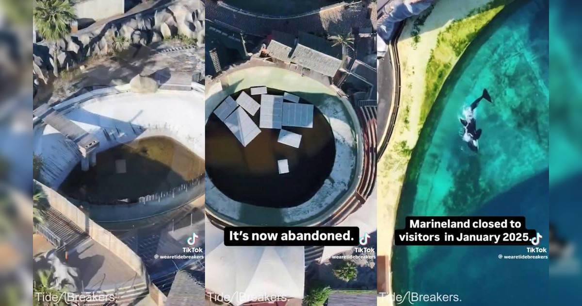 法國水族館關閉多月｜航拍驚揭2殺人鯨12海豚困廢池 當局找不到收容地！