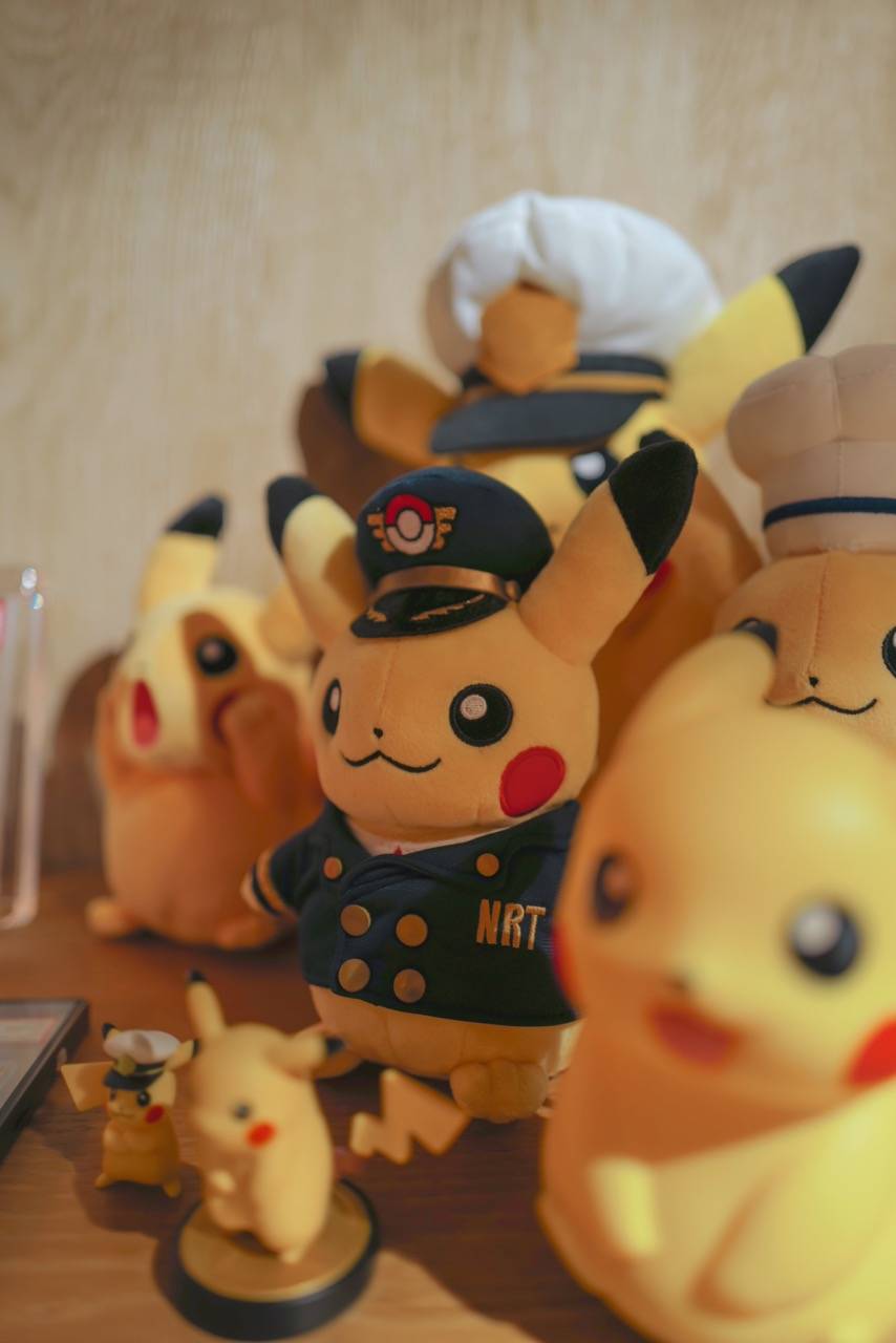 Pokémon 卡牌 PokeFest 比賽 (圖片來源:官方圖片)