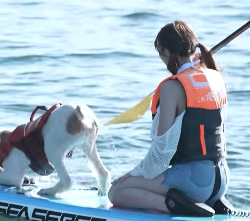 冼迪琦 100樣可能 (圖片來源:HOYTV)