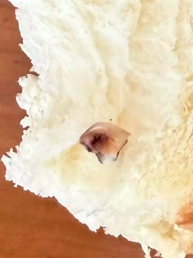 即時熱話 美心西餅 (圖片來源:Threads截圖)