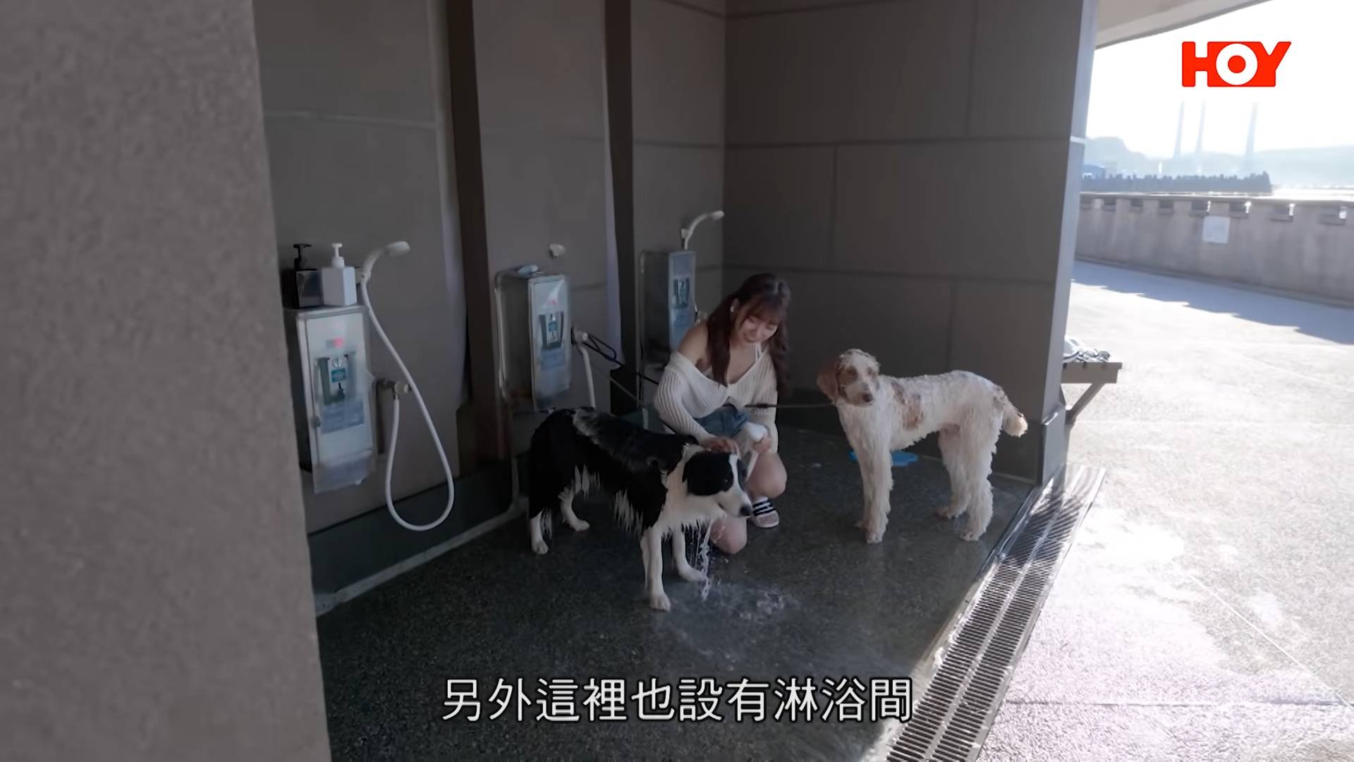 冼迪琦 100樣可能 (圖片來源:HOYTV)