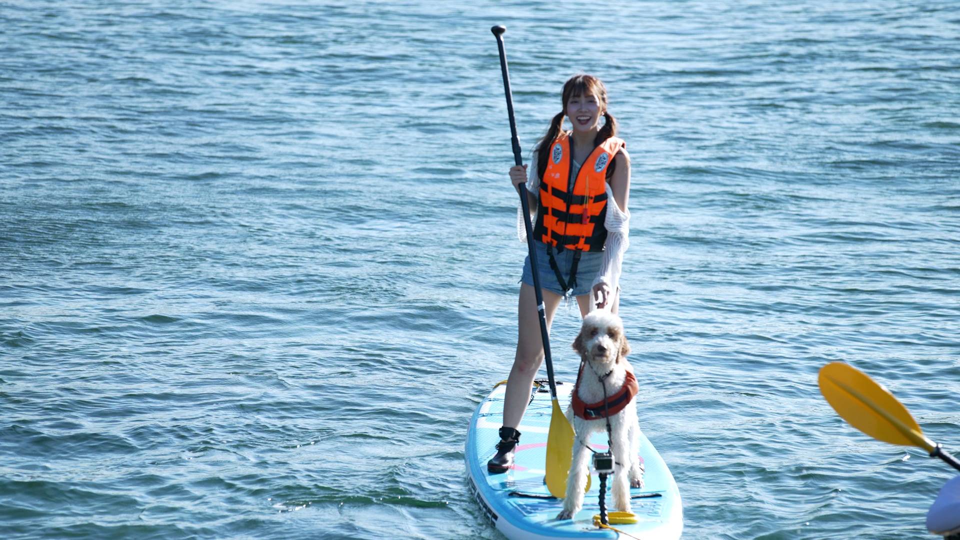 冼迪琦 100樣可能 (圖片來源:HOYTV)