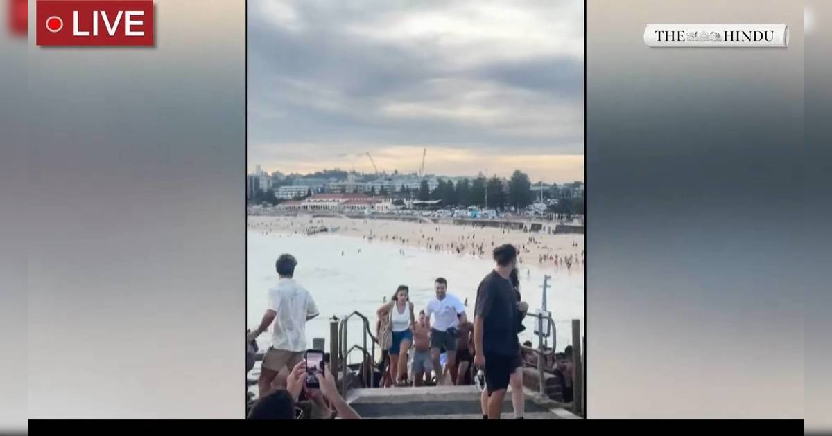 悉尼邦迪海灘槍擊增至16死｜兩名槍手為父子 英勇路人搶槍畫面曝光