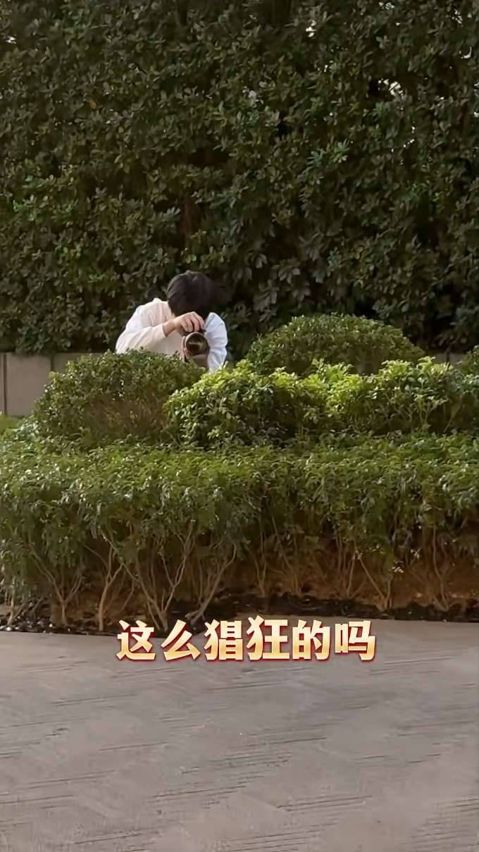 夏文汐 新聞女王2 (圖片來源:小紅書)