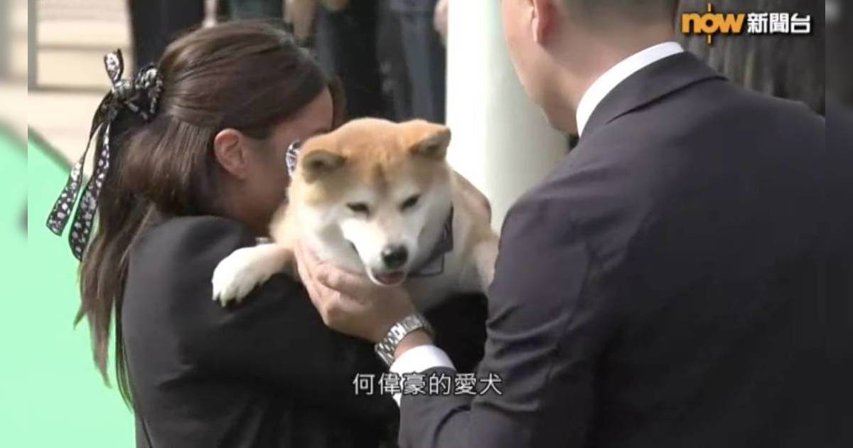 何偉豪未婚妻Kiki親自撳掣淚別摯愛入土 10歲愛犬多多戴孝現身送別爸爸