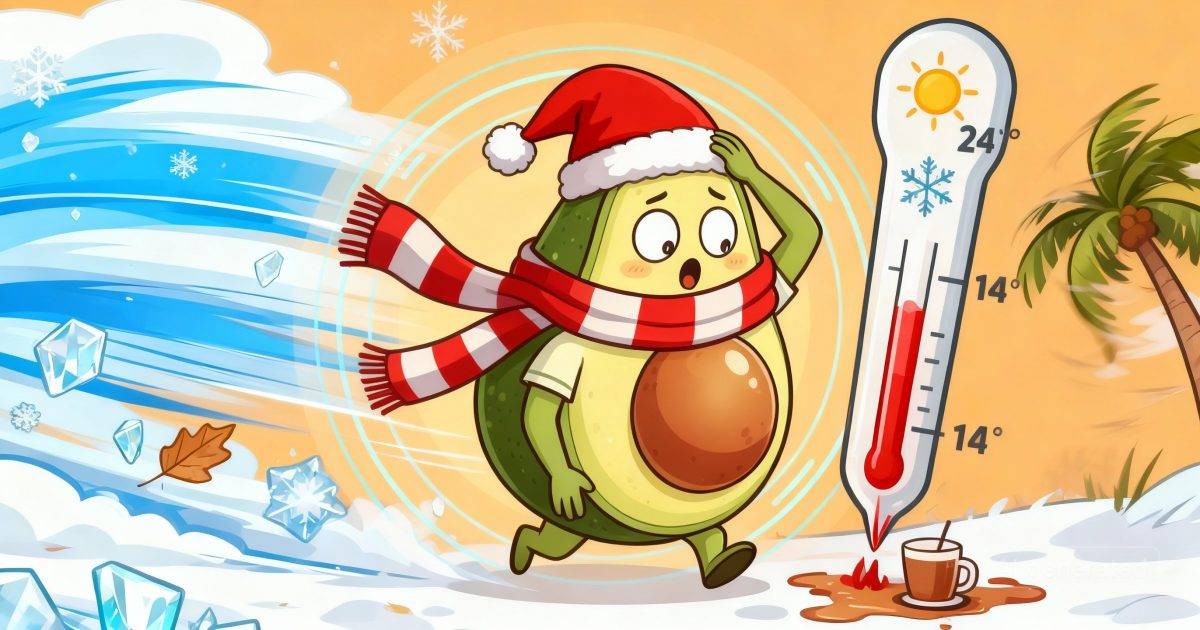 聖誕天氣大逆轉！季候風殺到氣溫急降｜天文台警告：恐破26年紀錄？