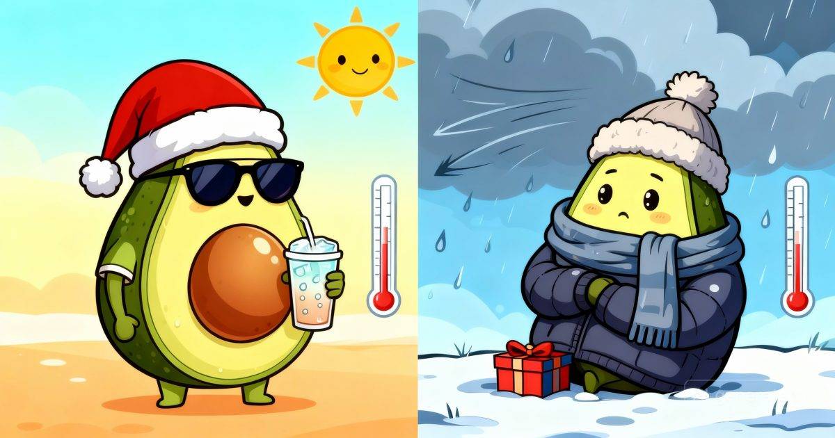 聖誕變天突襲｜氣溫狂降10度！天文台預測：拆禮物日最低「14度」？