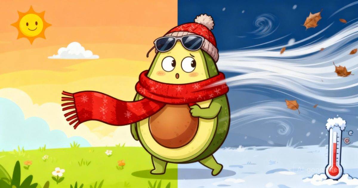 寒流元旦後突襲｜氣溫狂降至12度！天文台預測：北風顯著增強？