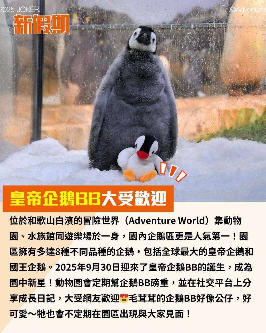 企鵝 (圖片來源:官方圖片)