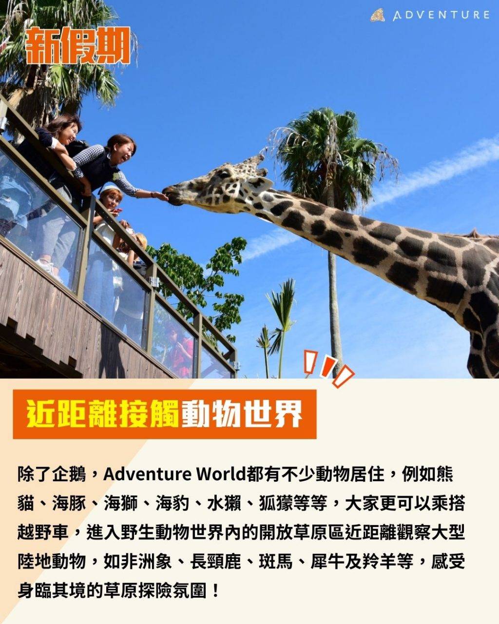 企鵝 (圖片來源:官方圖片)