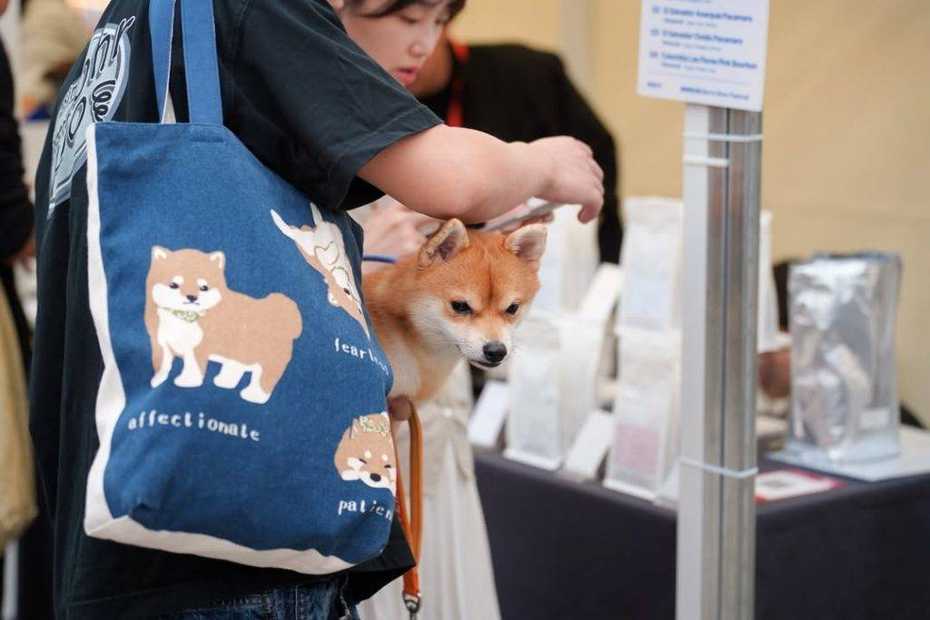 【2025 澳門活動回顧】媽閣慢活節完美落幕!三日限 (圖片來源:媽閣慢活節官方Instagram)