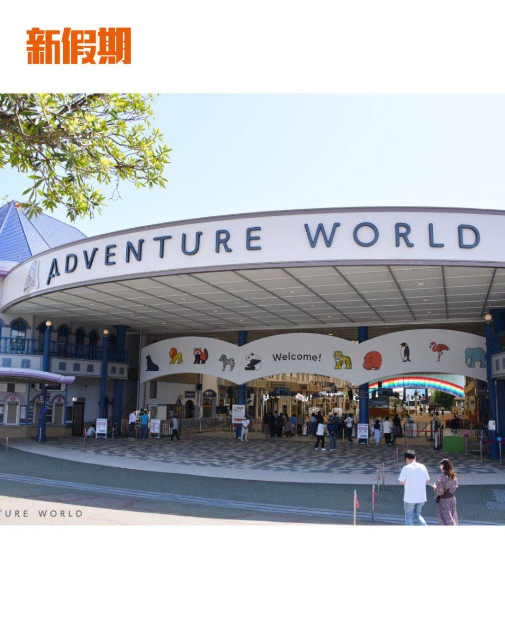 企鵝 (圖片來源:官方圖片)