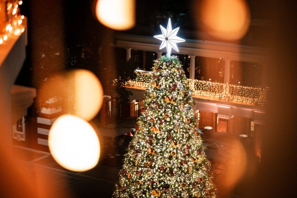 聖誕樹 中環 (圖片來源:官方圖片)