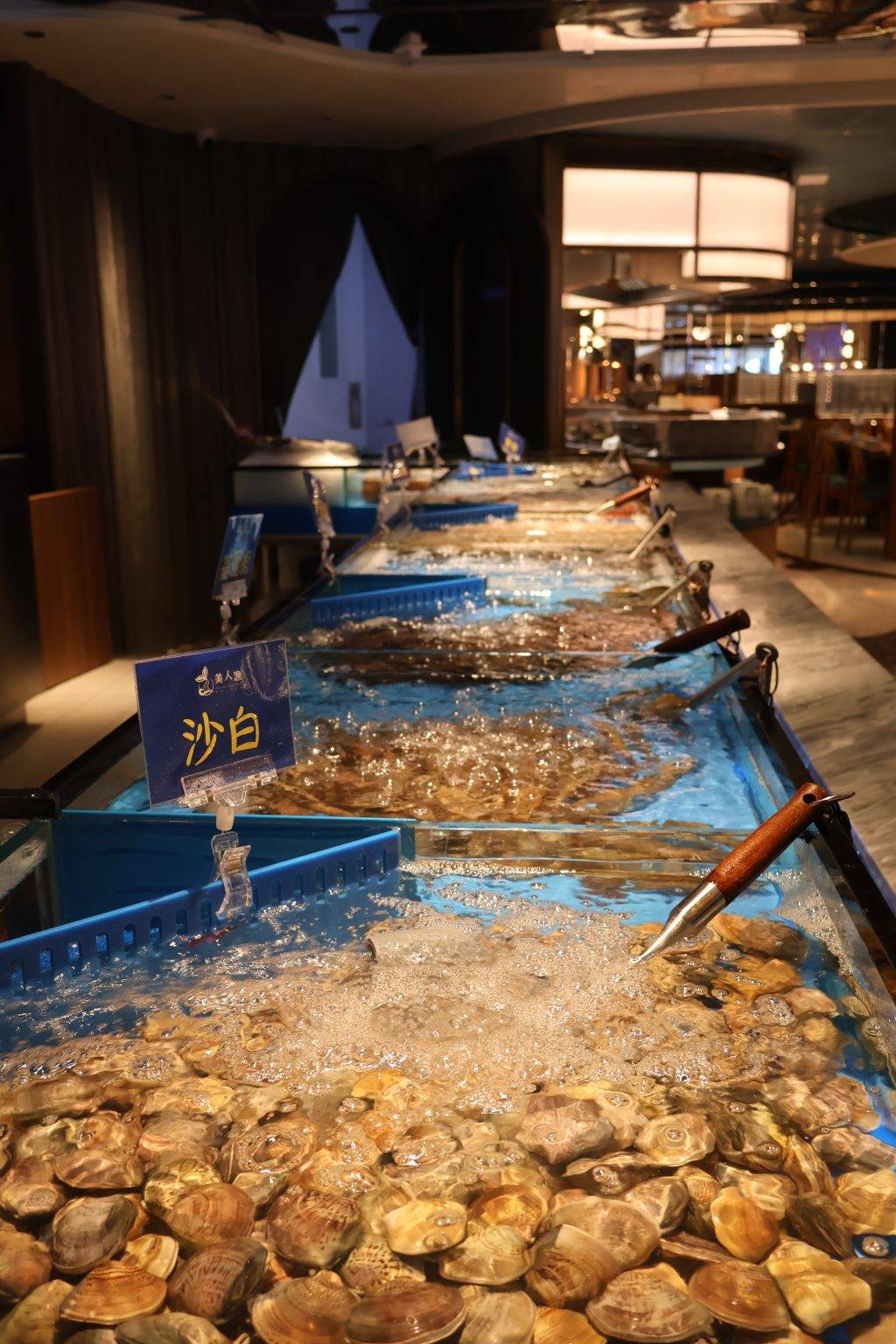 新餐廳 12月 過江龍 (圖片來源:官方圖片)