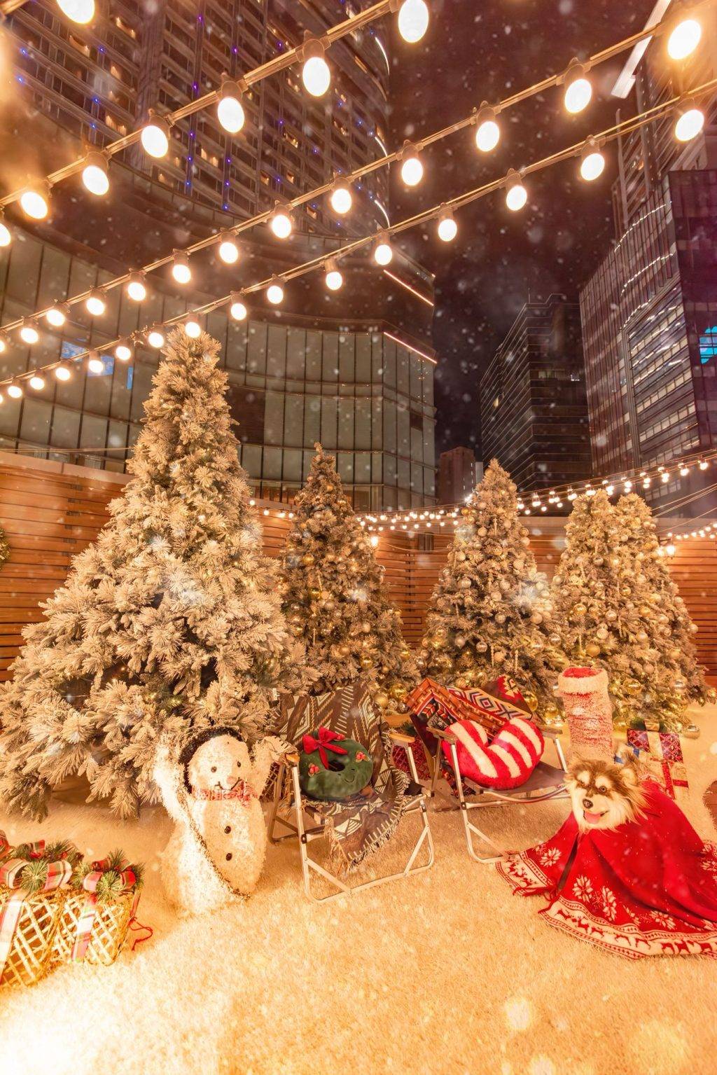 聖誕大餐 優惠 靚景 西餐 扒房 自助餐 (圖片來源:官方圖片)