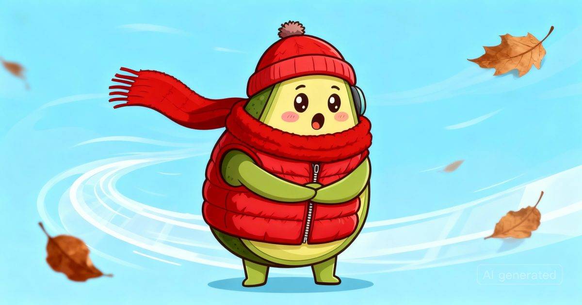 元旦夜冷鋒殺到！氣溫狂降至12度｜天文台預測：寒冷天氣持續！