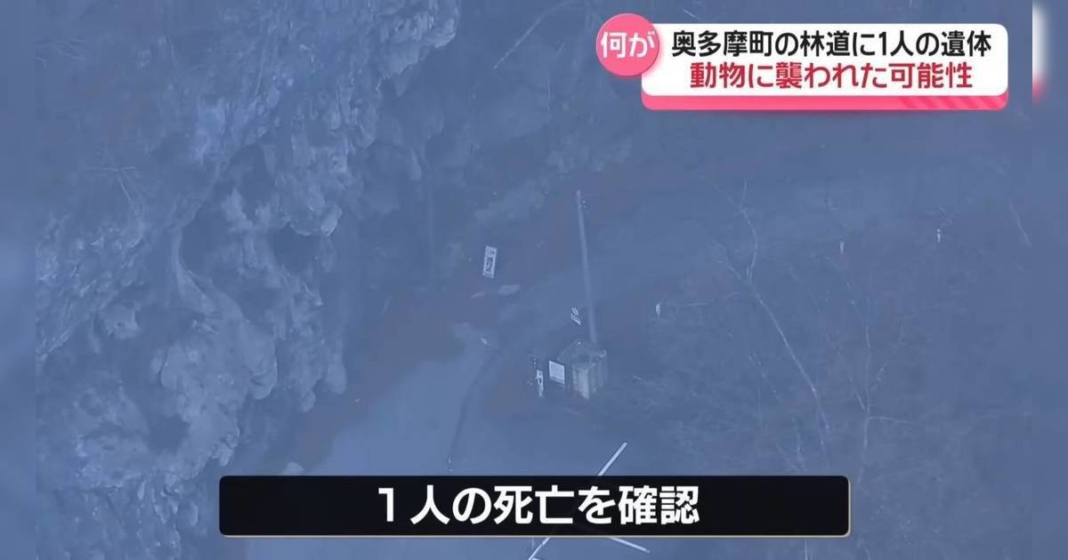 東京郊區男子遭野獸襲擊身亡｜腹部內臟疑被啃食 警方呼籲注意安全！